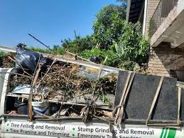 Best Property Management Cleanouts  in Mission, SD